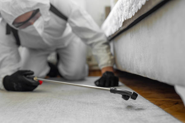 Professional Bed Bug Control technician working in Kellyville, OK