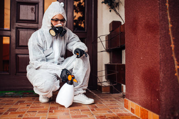 Reliable Bed Bug Control contractor in Kellyville, OK by Nex Pest Control