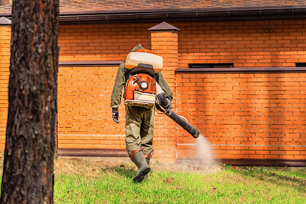 Trusted Emergency Pest Control service in Kellyville, OK - Nex Pest Control